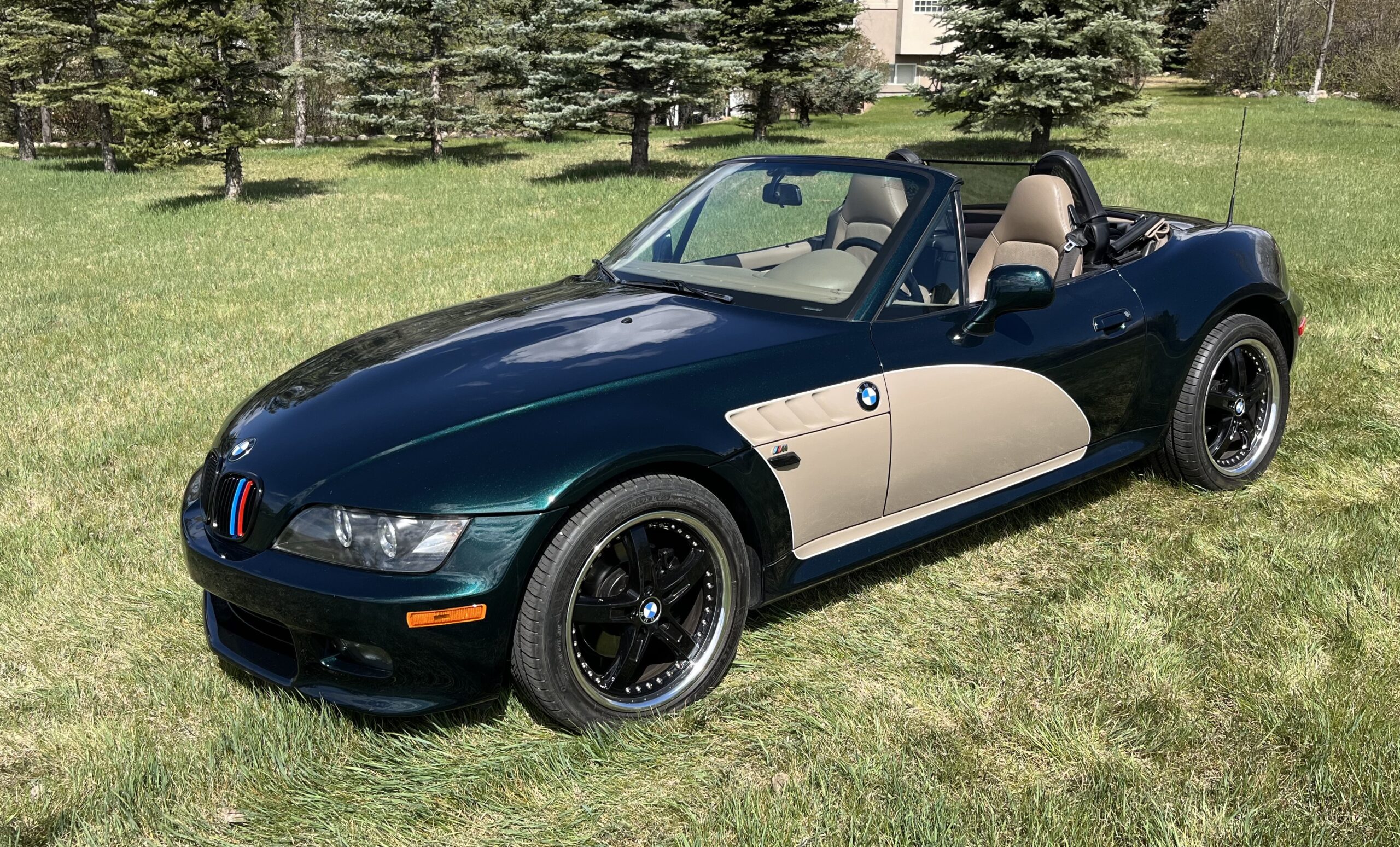 Photo 2025-05-08, 11 57 21 AM